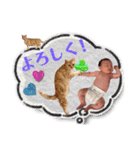 こうくんzerosai（個別スタンプ：4）