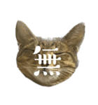 猫の あずき と きなこ（個別スタンプ：21）