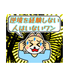 格言を言う猫④ ★学んでおきたいこと★（個別スタンプ：23）