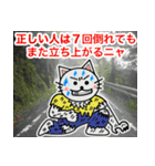 格言を言う猫④ ★学んでおきたいこと★（個別スタンプ：25）