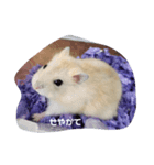 おちゃわん①（個別スタンプ：1）