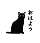 【動く】家族連絡用☆シンプル黒猫（個別スタンプ：1）