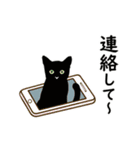 【動く】家族連絡用☆シンプル黒猫（個別スタンプ：19）