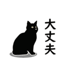 【動く】家族連絡用☆シンプル黒猫（個別スタンプ：20）