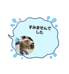 いろいろとりどり5（個別スタンプ：13）