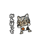 キジトラ猫動くスタンプ（個別スタンプ：4）