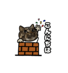 キジトラ猫動くスタンプ（個別スタンプ：6）