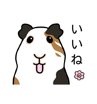 ドド＆レレのハッピーライフ（個別スタンプ：1）