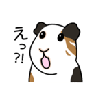 ドド＆レレのハッピーライフ（個別スタンプ：2）