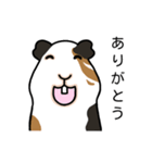 ドド＆レレのハッピーライフ（個別スタンプ：5）