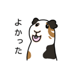 ドド＆レレのハッピーライフ（個別スタンプ：6）