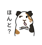 ドド＆レレのハッピーライフ（個別スタンプ：9）