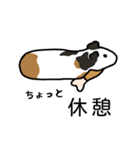ドド＆レレのハッピーライフ（個別スタンプ：11）