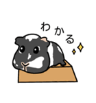 ドド＆レレのハッピーライフ（個別スタンプ：13）