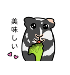 ドド＆レレのハッピーライフ（個別スタンプ：17）