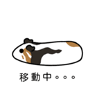 ドド＆レレのハッピーライフ（個別スタンプ：19）