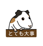 ドド＆レレのハッピーライフ（個別スタンプ：31）