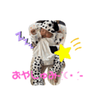 好珀スタンプ❤️（個別スタンプ：16）
