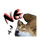 柴犬から一言お返事 shibainu（個別スタンプ：2）