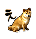 柴犬から一言お返事 shibainu（個別スタンプ：18）