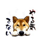 柴犬から一言お返事 shibainu（個別スタンプ：29）