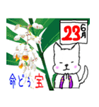 八重山ワンダフルライブ！！修正版（個別スタンプ：20）