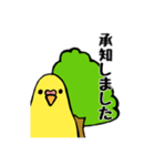 ひばの木とインコ（個別スタンプ：20）