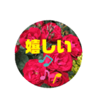 薔薇の一言（個別スタンプ：3）