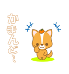 わんこ日和(ミックス犬)-toyvu-（個別スタンプ：11）