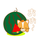 わんこ日和(ミックス犬)-toyvu-（個別スタンプ：26）