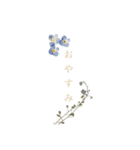 可憐花と共に…（個別スタンプ：2）