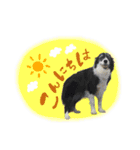 モカ＆トトロ②（個別スタンプ：1）