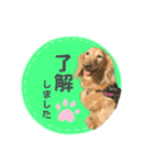 モカ＆トトロ②（個別スタンプ：3）