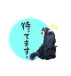 モカ＆トトロ②（個別スタンプ：5）