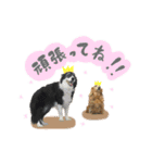 モカ＆トトロ②（個別スタンプ：6）