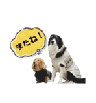 モカ＆トトロ②（個別スタンプ：7）