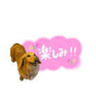 モカ＆トトロ②（個別スタンプ：8）