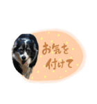 モカ＆トトロ②（個別スタンプ：9）