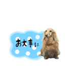 モカ＆トトロ②（個別スタンプ：10）