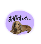 モカ＆トトロ②（個別スタンプ：13）