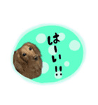 モカ＆トトロ②（個別スタンプ：16）