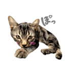 ルイ(文字あり)（個別スタンプ：2）