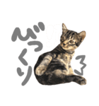 ルイ(文字あり)（個別スタンプ：3）