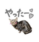 ルイ(文字あり)（個別スタンプ：9）