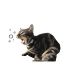 ルイ(文字あり)（個別スタンプ：10）