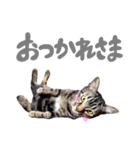 ルイ(文字あり)（個別スタンプ：13）