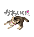 ルイ(文字あり)（個別スタンプ：15）