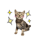 ルイ(文字あり)（個別スタンプ：16）
