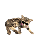 ルイ(文字あり)（個別スタンプ：17）