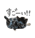 ルイ(文字あり)（個別スタンプ：19）